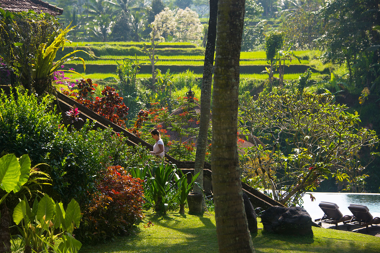 villabayad_ubud_garden_tropical_scenery
