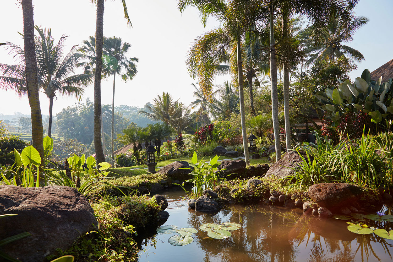 villabayad_ubud_garden_ponds_view