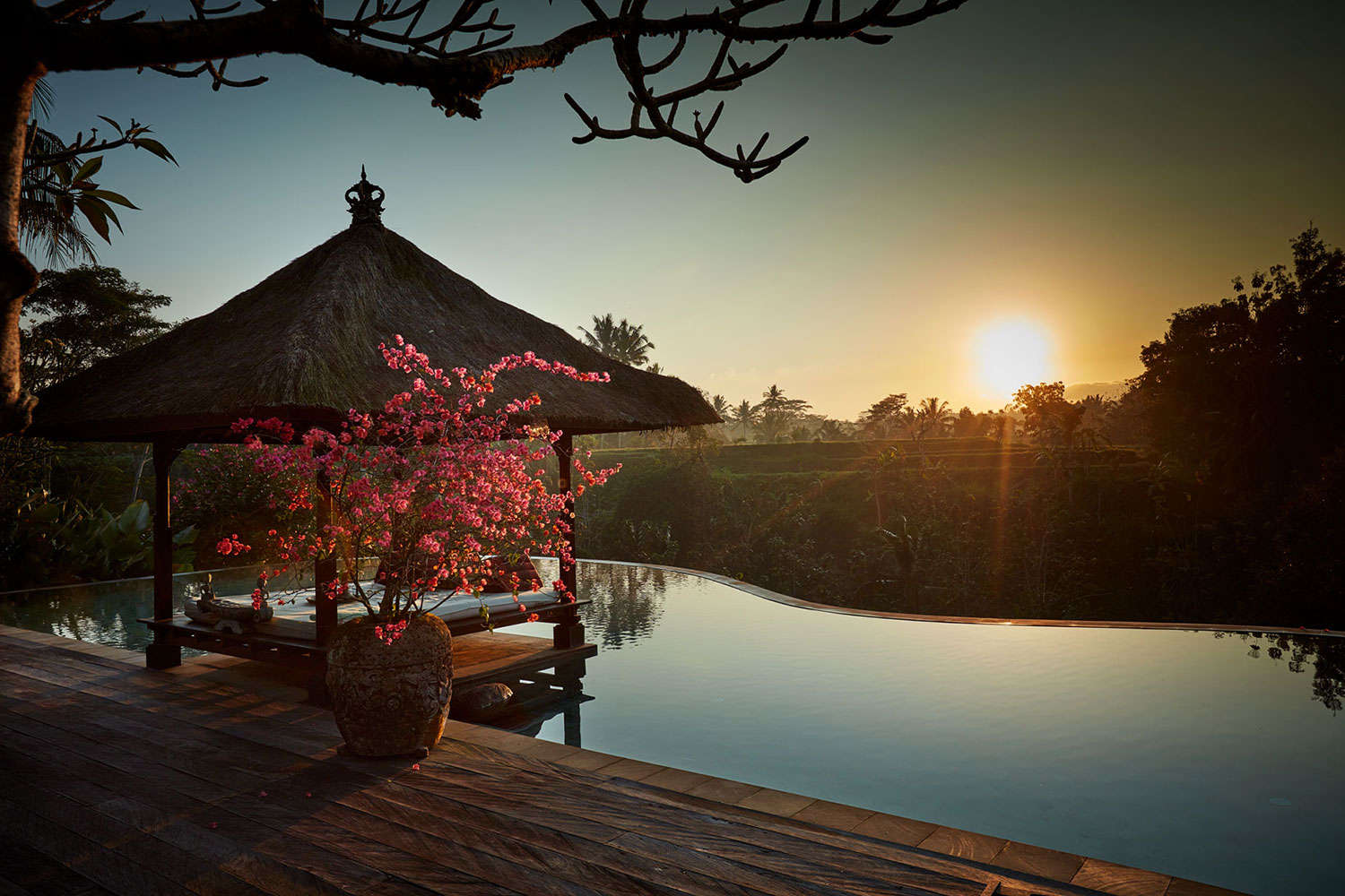 villabayad_ubud_pool_sunrise_view